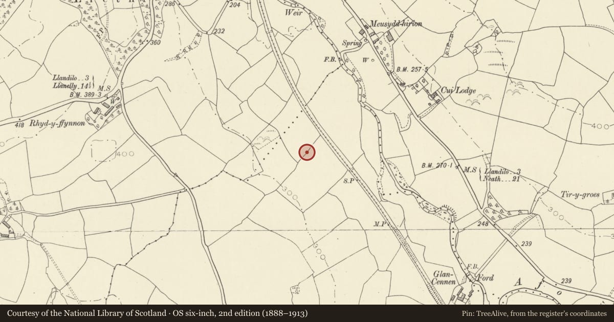 Ordnance Survey six-inch map, 2nd edition (1888–1913) covering the location of Two Burnt Mounds 600m ESE of Rhyd-y-Ffynnon Farm, Llandybie, Carmarthenshire, with a pin at the register's coordinates