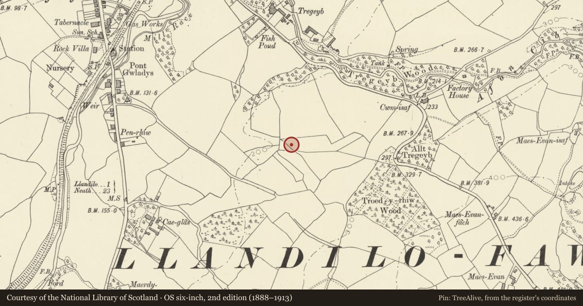 Ordnance Survey six-inch map, 2nd edition (1888–1913) covering the location of Burnt Mound 450m ENE of Caeglas Farm, Cyngor Bro Dyffryn Cennen, Carmarthenshire, with a pin at the register's coordinates