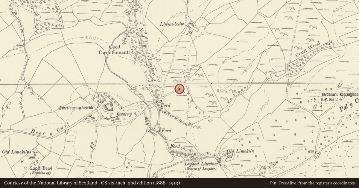 Ordnance Survey six-inch map, 2nd edition (1888–1913) covering the location of Two Burnt Mounds 350m W of Cwrtbrynbeirdd, Cyngor Bro Dyffryn Cennen, Carmarthenshire, with a pin at the register's coordinates