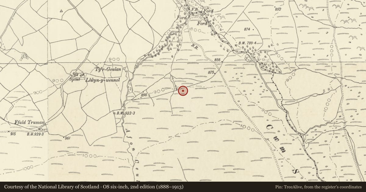 Ordnance Survey six-inch map, 2nd edition (1888–1913) covering the location of Burnt Mound 500m ESE of Llwyn Wennol, Llangadog, Carmarthenshire, with a pin at the register's coordinates