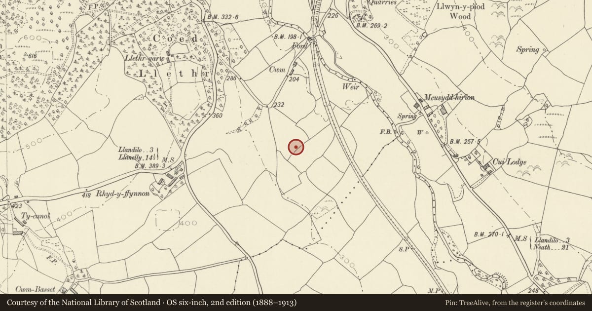 Ordnance Survey six-inch map, 2nd edition (1888–1913) covering the location of Burnt Mound 250m S of Cwm, Llanfihangel Aberbythych, Carmarthenshire, with a pin at the register's coordinates