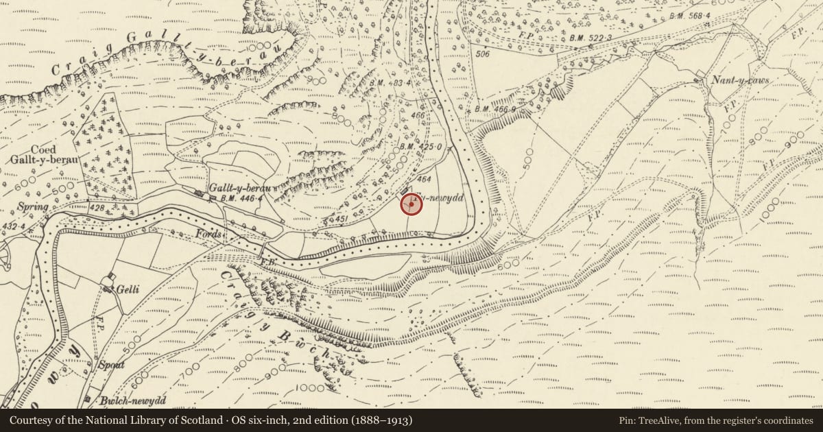 Ordnance Survey six-inch map, 2nd edition (1888–1913) covering the location of Ty Newydd Standing Stone, Cilycwm, Carmarthenshire, with a pin at the register's coordinates