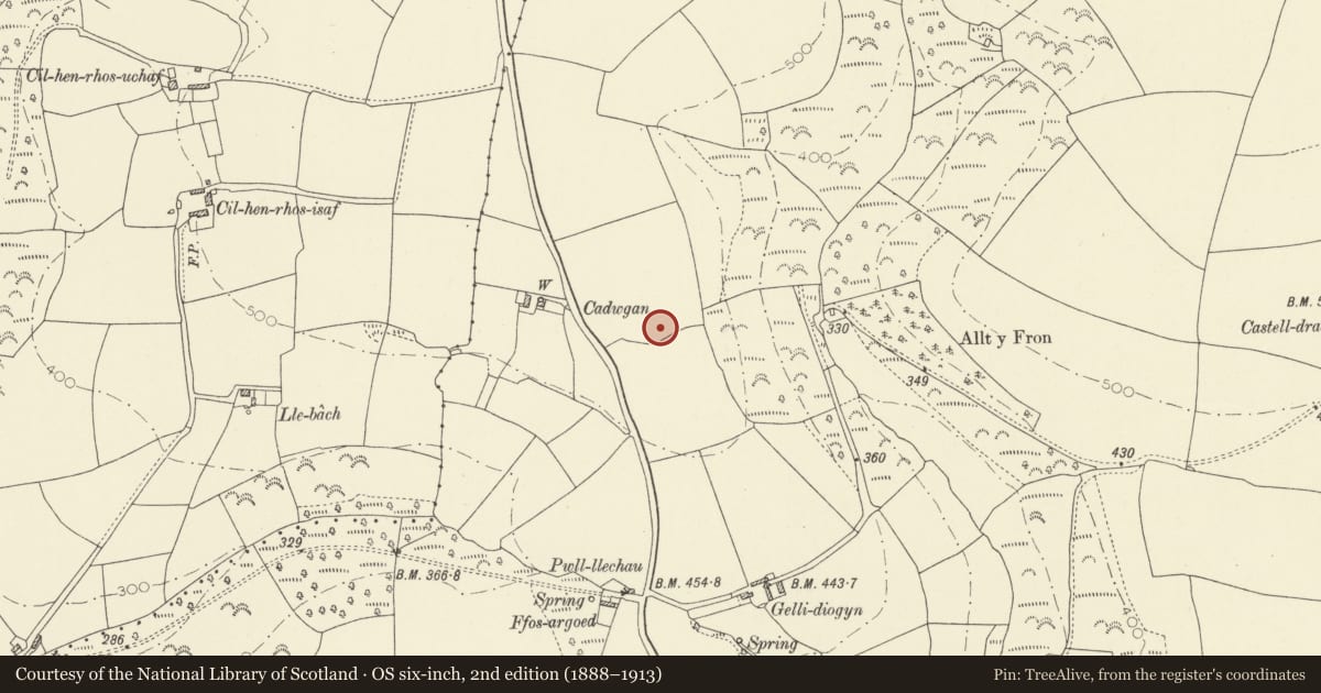 Ordnance Survey six-inch map, 2nd edition (1888–1913) covering the location of Gelli Diogyn Hillfort, Llanboidy, Carmarthenshire, with a pin at the register's coordinates