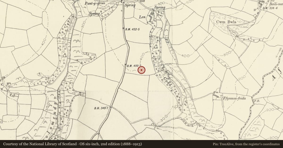 Ordnance Survey six-inch map, 2nd edition (1888–1913) covering the location of Lan Enclosure, Llanboidy, Carmarthenshire, with a pin at the register's coordinates