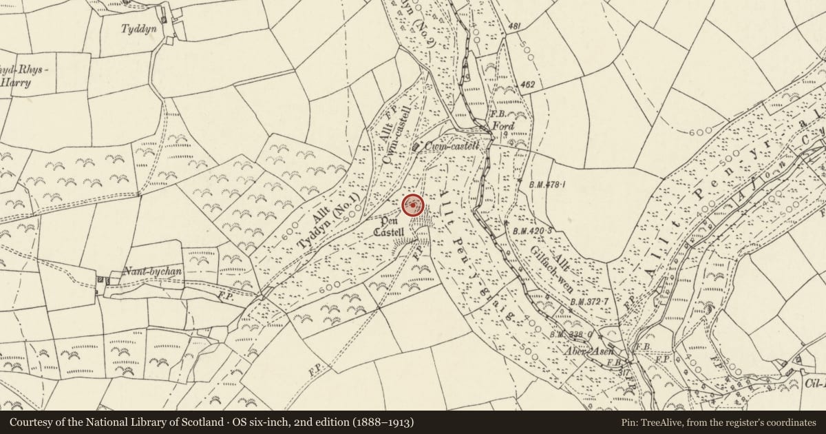 Ordnance Survey six-inch map, 2nd edition (1888–1913) covering the location of Pencastell Hillfort, Llanwinio, Carmarthenshire, with a pin at the register's coordinates
