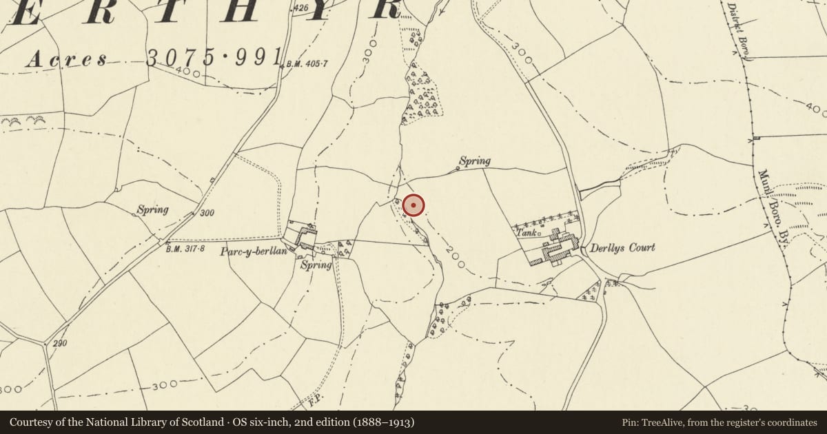 Ordnance Survey six-inch map, 2nd edition (1888–1913) covering the location of Burnt Mound West of Derllys Court, Newchurch and Merthyr, Carmarthenshire, with a pin at the register's coordinates