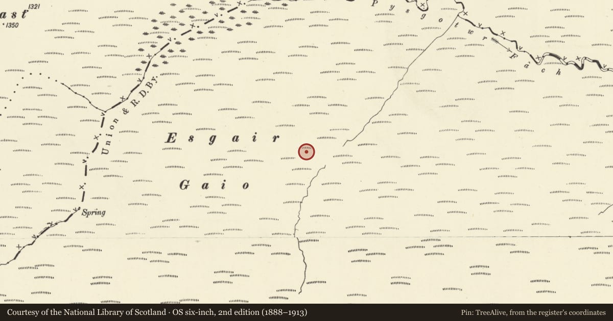 Ordnance Survey six-inch map, 2nd edition (1888–1913) covering the location of Esgair Gaeo Deserted Rural Settlement, Cynwyl Gaeo, Carmarthenshire, with a pin at the register's coordinates