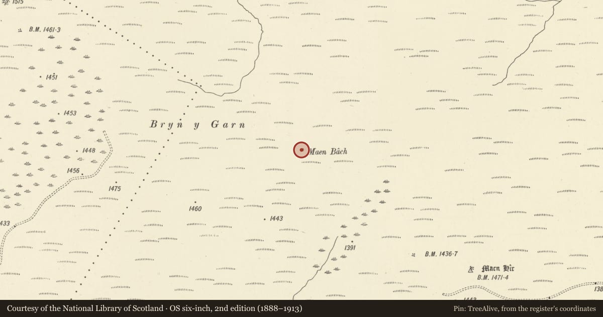 Ordnance Survey six-inch map, 2nd edition (1888–1913) covering the location of Maen Bach Standing Stone, Cilycwm, Carmarthenshire, with a pin at the register's coordinates