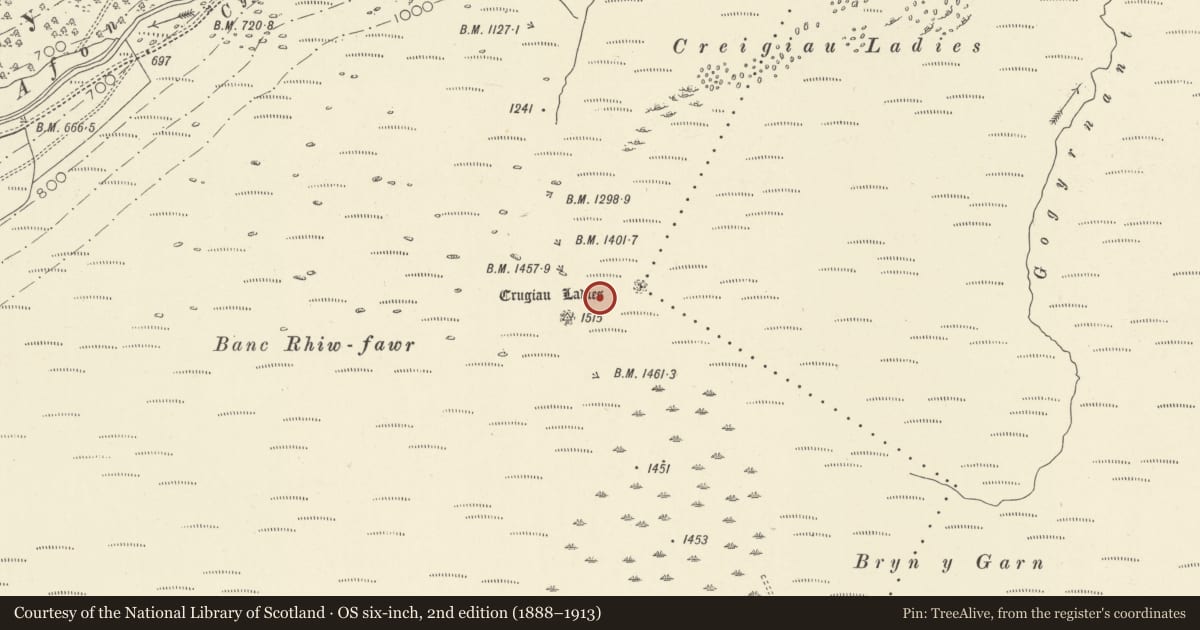 Ordnance Survey six-inch map, 2nd edition (1888–1913) covering the location of Crugiau Merched Cairns, Cilycwm, Carmarthenshire, with a pin at the register's coordinates