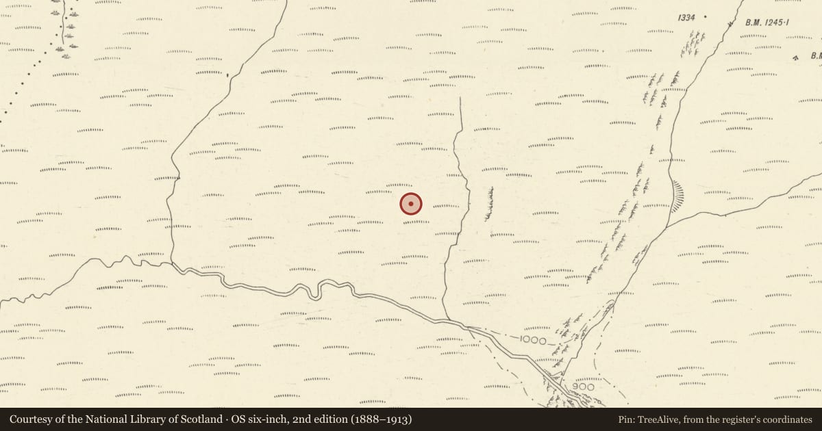 Ordnance Survey six-inch map, 2nd edition (1888–1913) covering the location of Mynydd Mallaen Long Hut, Cilycwm, Carmarthenshire, with a pin at the register's coordinates