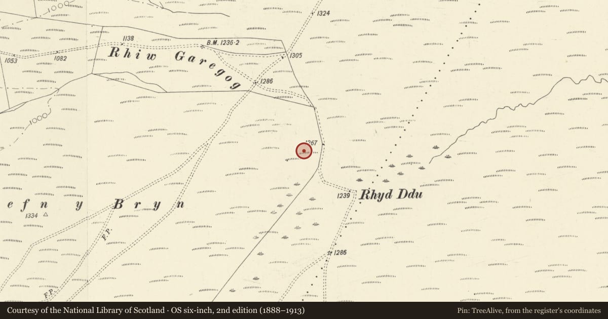 Ordnance Survey six-inch map, 2nd edition (1888–1913) covering the location of Cefn y Bryn Ring Cairn, Cynwyl Gaeo, Carmarthenshire, with a pin at the register's coordinates
