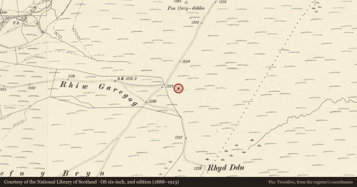 Ordnance Survey six-inch map, 2nd edition (1888–1913) covering the location of Pen Cerrigdiddos Round Cairns, Cynwyl Gaeo, Carmarthenshire, with a pin at the register's coordinates