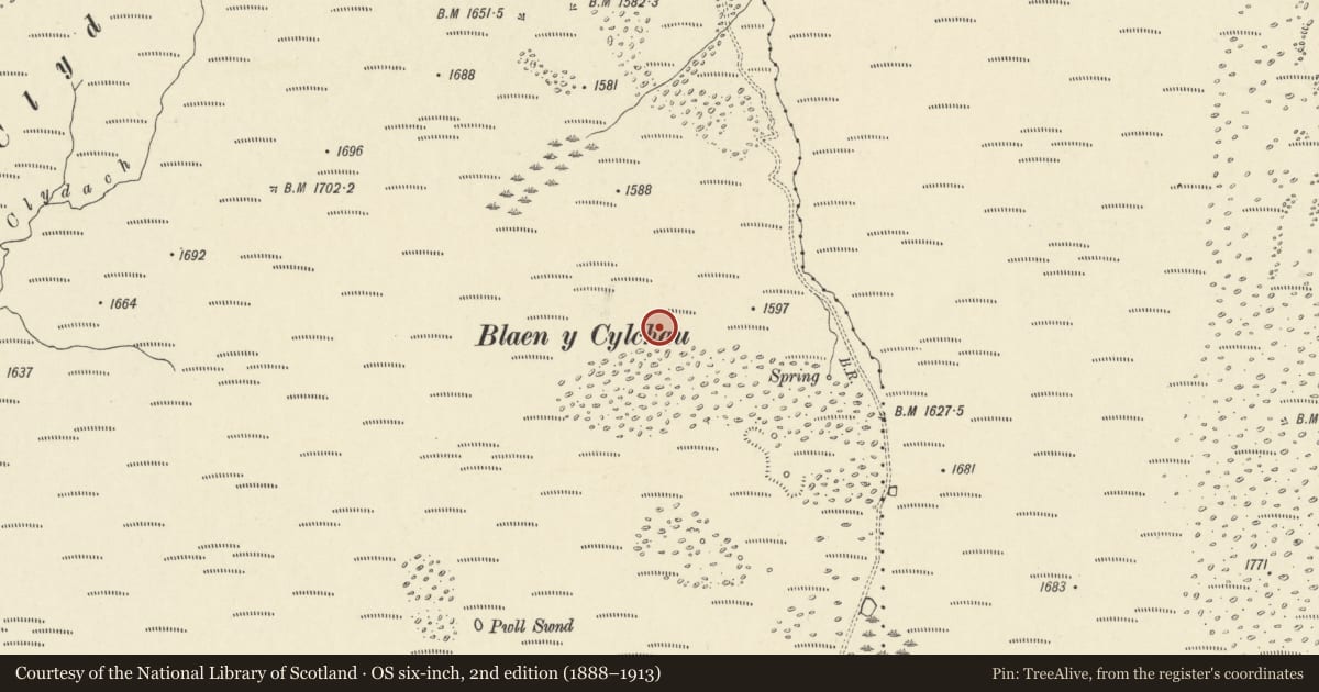 Ordnance Survey six-inch map, 2nd edition (1888–1913) covering the location of Blaen y Cylchau Deserted Rural Settlement, Llangadog, Carmarthenshire, with a pin at the register's coordinates