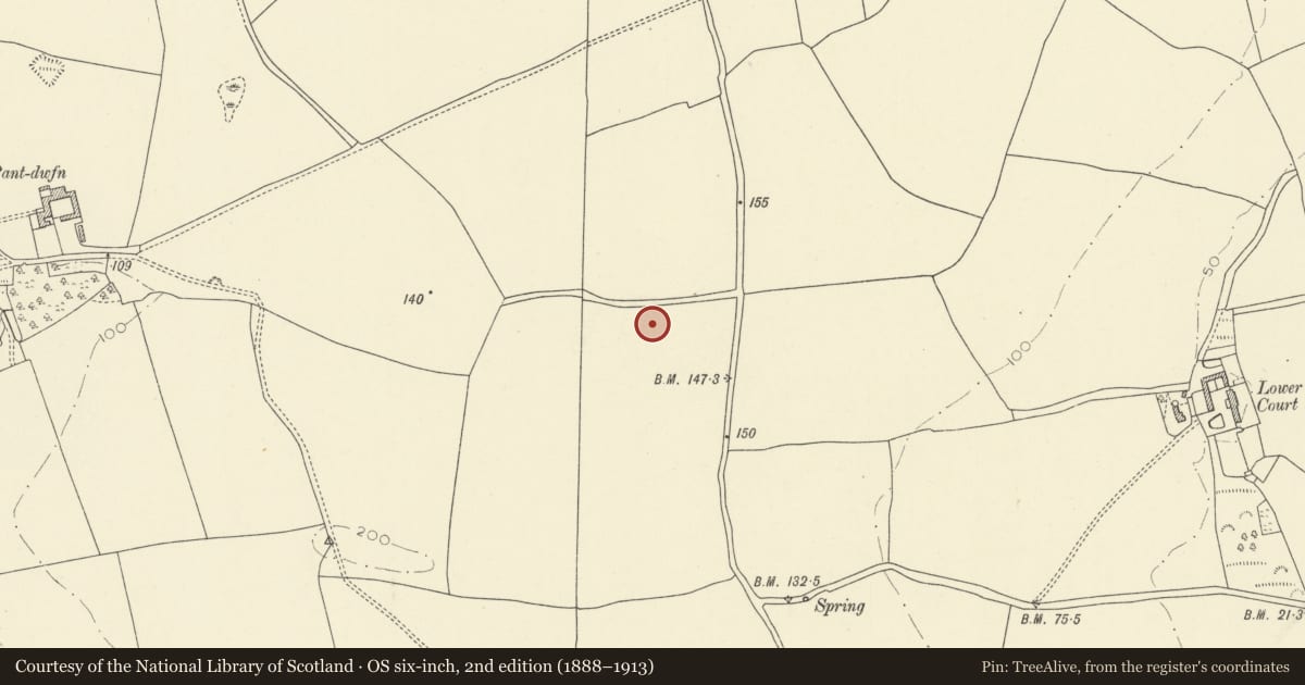 Ordnance Survey six-inch map, 2nd edition (1888–1913) covering the location of Bryn Helyg Round Barrow, St. Clears, Carmarthenshire, with a pin at the register's coordinates