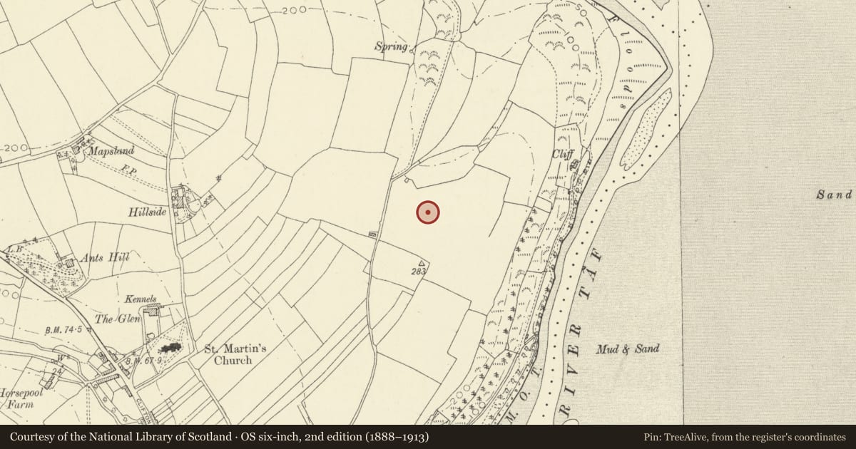 Ordnance Survey six-inch map, 2nd edition (1888–1913) covering the location of Delacorse Uchaf Standing Stone, Laugharne Township, Carmarthenshire, with a pin at the register's coordinates