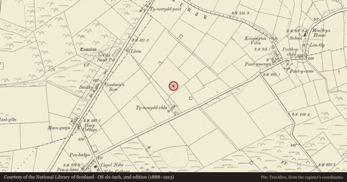 Ordnance Survey six-inch map, 2nd edition (1888–1913) covering the location of Pant y Menyn Round Barrow, Cilymaenllwyd, Carmarthenshire, with a pin at the register's coordinates