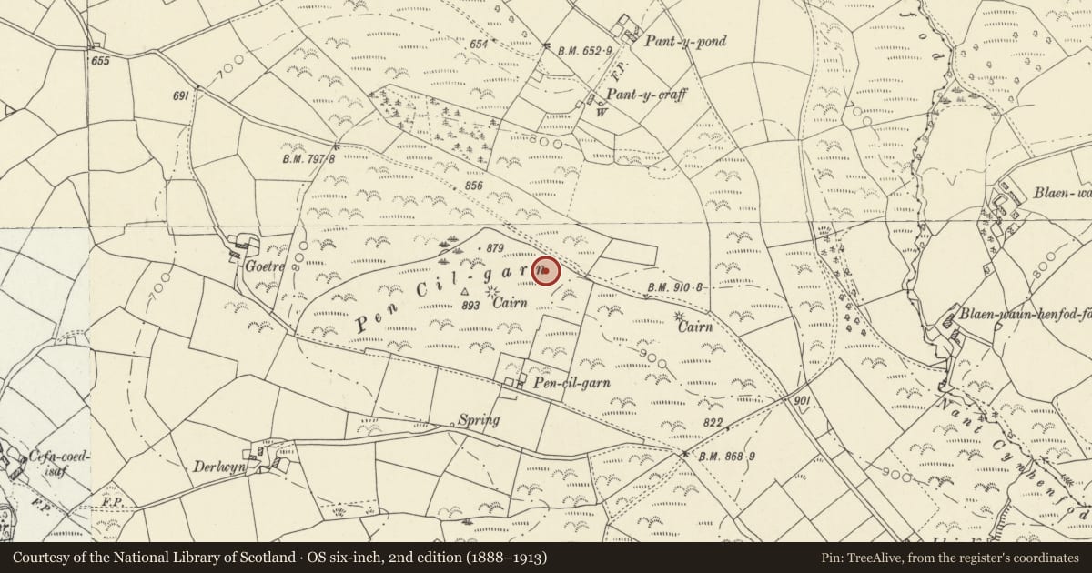 Ordnance Survey six-inch map, 2nd edition (1888–1913) covering the location of Derlwyn round barrow cemetery, Llanllwni, Carmarthenshire, with a pin at the register's coordinates