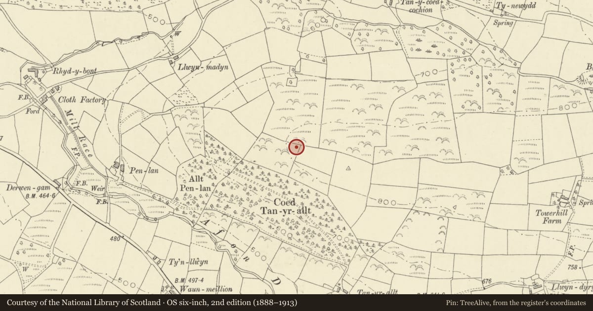 Ordnance Survey six-inch map, 2nd edition (1888–1913) covering the location of Pen Lan round barrow cemetery, Llanybydder, Carmarthenshire, with a pin at the register's coordinates