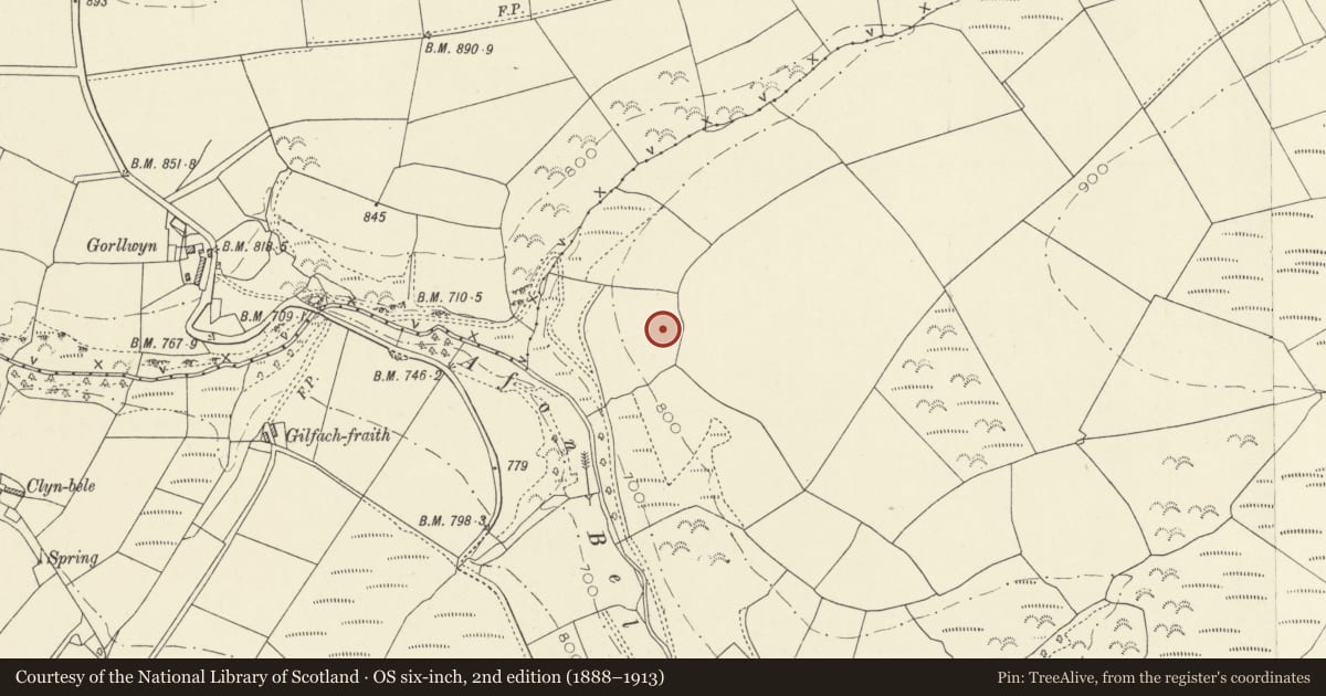 Ordnance Survey six-inch map, 2nd edition (1888–1913) covering the location of Carreg Wen Standing Stone, Cynwyl Elfed, Carmarthenshire, with a pin at the register's coordinates