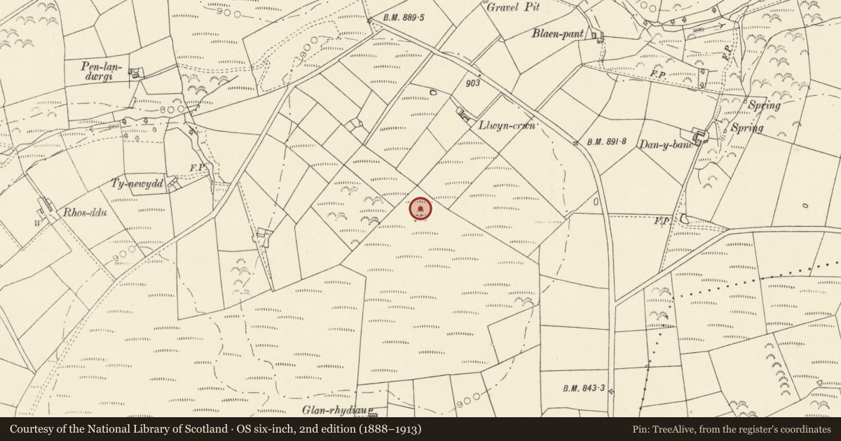 Ordnance Survey six-inch map, 2nd edition (1888–1913) covering the location of Crug-y-rhud-hir round barrow, Llanllawddog, Carmarthenshire, with a pin at the register's coordinates