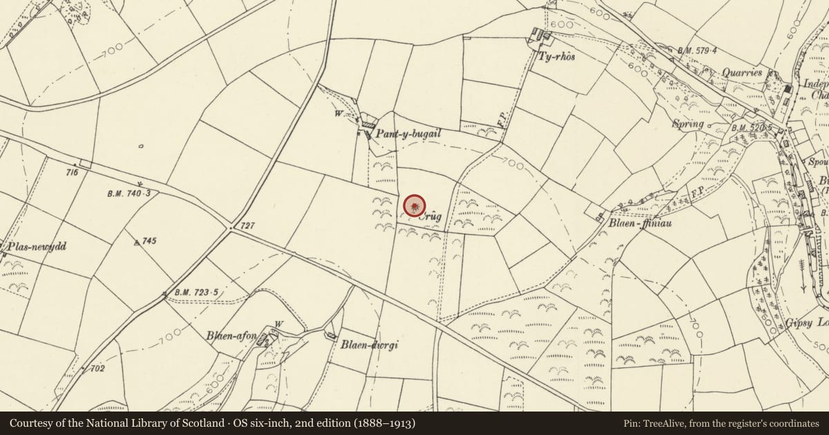 Ordnance Survey six-inch map, 2nd edition (1888–1913) covering the location of Crug Pant y Bugail round barrow, Abernant, Carmarthenshire, with a pin at the register's coordinates