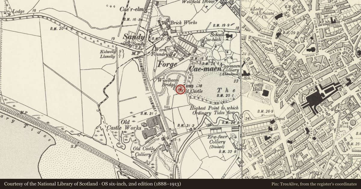 Ordnance Survey six-inch map, 2nd edition (1888–1913) covering the location of Old Castle motte, Llanelli, Carmarthenshire, with a pin at the register's coordinates