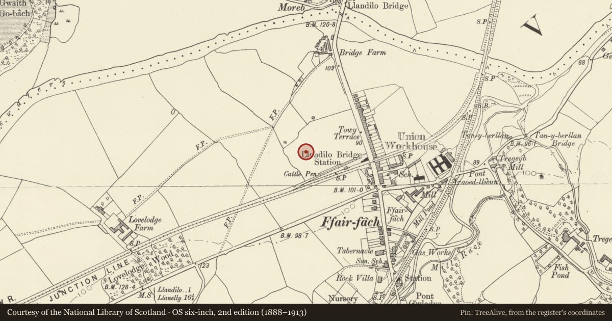 Ordnance Survey six-inch map, 2nd edition (1888–1913) covering the location of Ffairfach standing stone, Cyngor Bro Dyffryn Cennen, Carmarthenshire, with a pin at the register's coordinates
