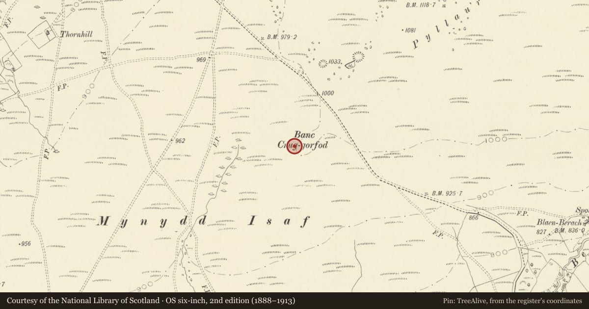 Ordnance Survey six-inch map, 2nd edition (1888–1913) covering the location of Banc Crucorford round cairn, Cwmamman, Carmarthenshire, with a pin at the register's coordinates