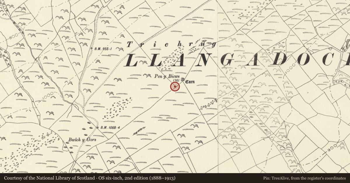Ordnance Survey six-inch map, 2nd edition (1888–1913) covering the location of Trichrug round cairns, Llangadog, Carmarthenshire, with a pin at the register's coordinates