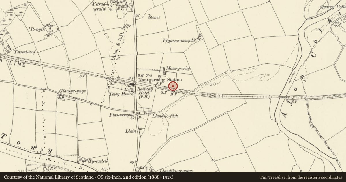Ordnance Survey six-inch map, 2nd edition (1888–1913) covering the location of Maes y Crug round barrow, Llanegwad, Carmarthenshire, with a pin at the register's coordinates