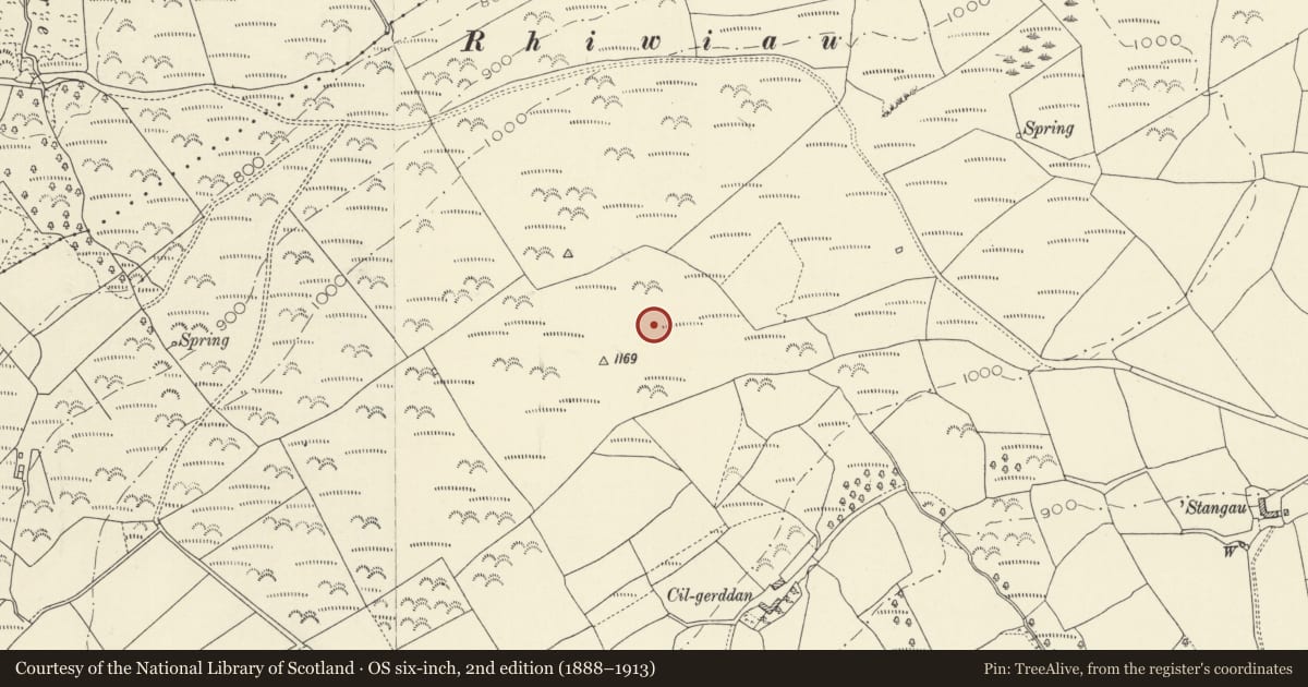 Ordnance Survey six-inch map, 2nd edition (1888–1913) covering the location of Cilgerddan ring cairn, Llanddeusant, Carmarthenshire, with a pin at the register's coordinates