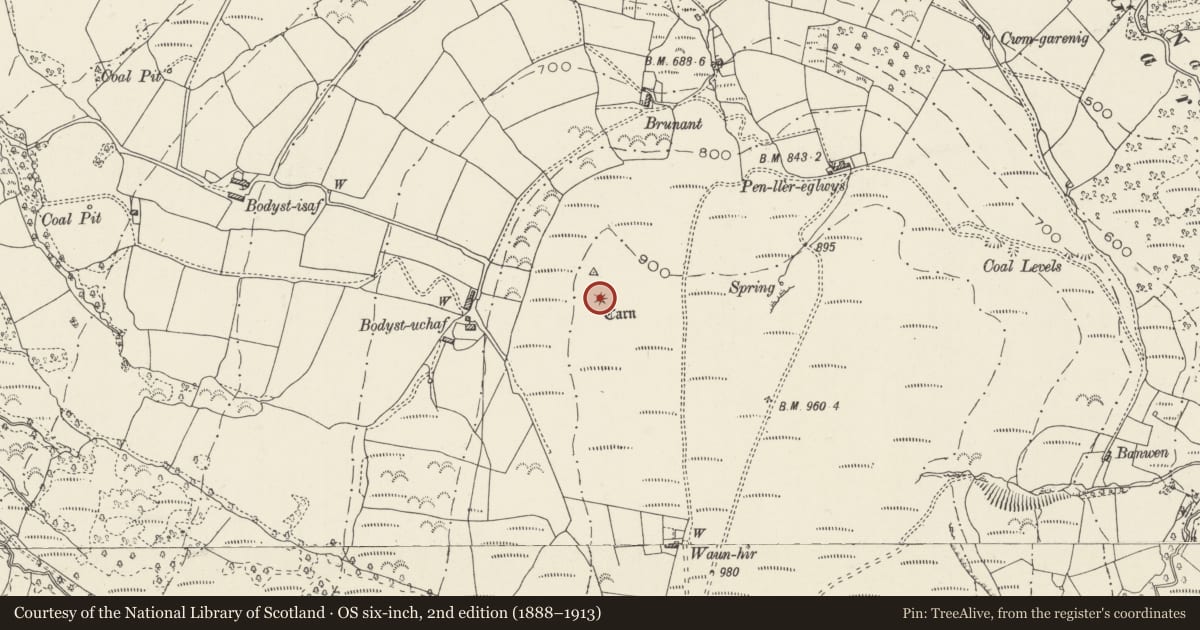 Ordnance Survey six-inch map, 2nd edition (1888–1913) covering the location of Bodyst-uchaf ring cairn, Cwmamman, Carmarthenshire, with a pin at the register's coordinates