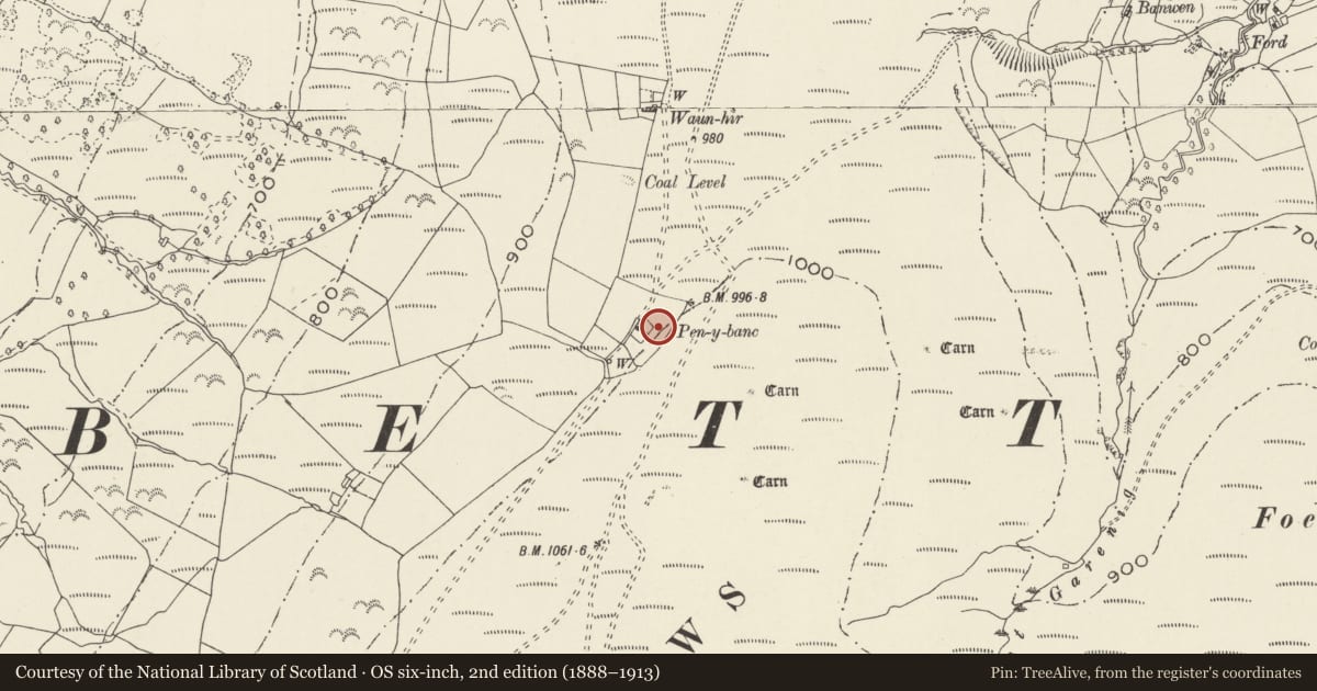 Ordnance Survey six-inch map, 2nd edition (1888–1913) covering the location of Waun-hir post-medieval lluest farmstead, Cwmamman, Carmarthenshire, with a pin at the register's coordinates