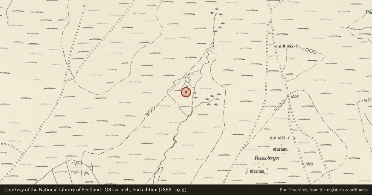 Ordnance Survey six-inch map, 2nd edition (1888–1913) covering the location of Bancbryn post-medieval lluest farmstead, Cwmamman, Carmarthenshire, with a pin at the register's coordinates