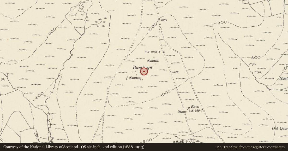Ordnance Survey six-inch map, 2nd edition (1888–1913) covering the location of Bancbryn cairn cemetery, Cwmamman, Carmarthenshire, with a pin at the register's coordinates