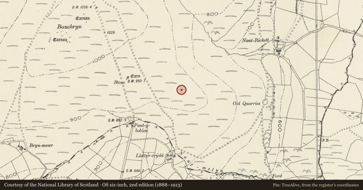 Ordnance Survey six-inch map, 2nd edition (1888–1913) covering the location of Bancbryn cairn cemetery [east], Cwmamman, Carmarthenshire, with a pin at the register's coordinates