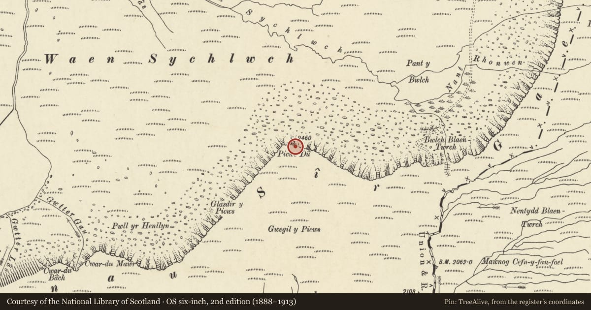Ordnance Survey six-inch map, 2nd edition (1888–1913) covering the location of Picws Du cairn, Llanddeusant, Carmarthenshire, with a pin at the register's coordinates