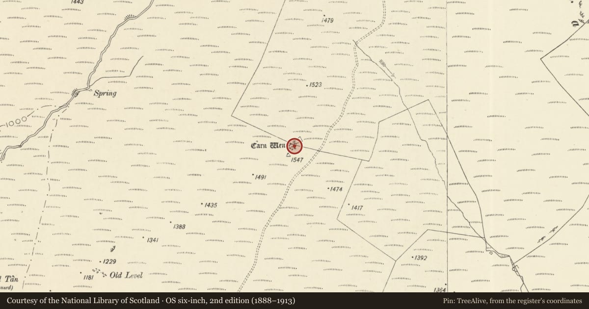 Ordnance Survey six-inch map, 2nd edition (1888–1913) covering the location of Carn Wen round cairn, Llanfair-ar-y-Bryn, Carmarthenshire, with a pin at the register's coordinates