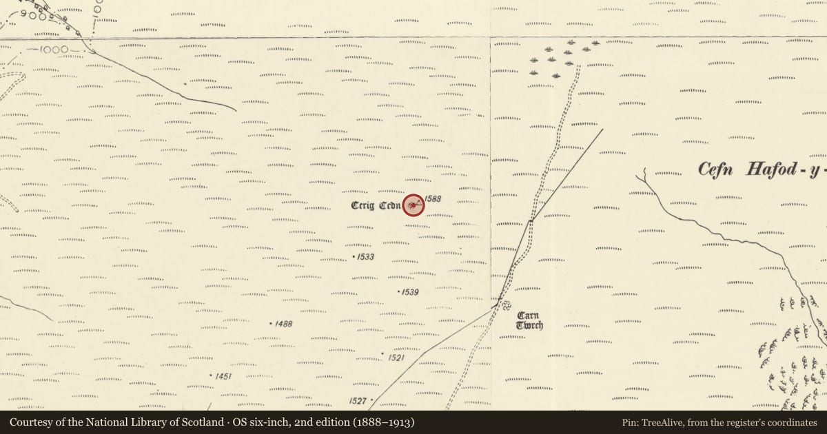 Ordnance Survey six-inch map, 2nd edition (1888–1913) covering the location of Cerrig Cedny round cairn, Llanfair-ar-y-Bryn, Carmarthenshire, with a pin at the register's coordinates