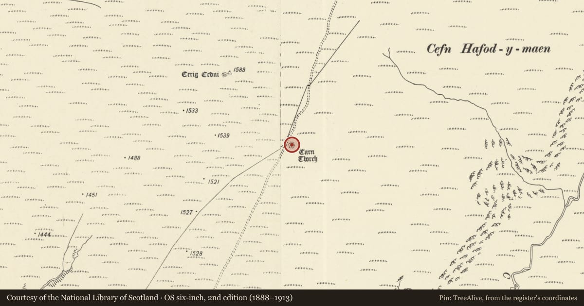 Ordnance Survey six-inch map, 2nd edition (1888–1913) covering the location of Carn Twrch round cairn, Llanfair-ar-y-Bryn, Carmarthenshire, with a pin at the register's coordinates