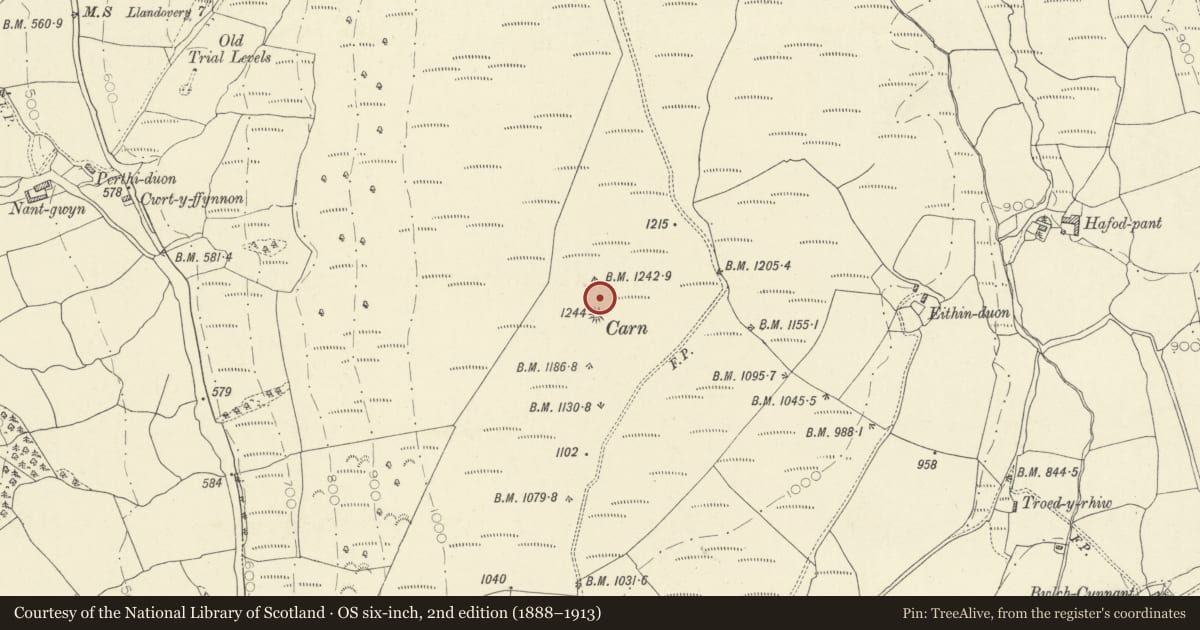 Ordnance Survey six-inch map, 2nd edition (1888–1913) covering the location of Round Cairn, Llanfair-ar-y-Bryn, Carmarthenshire, with a pin at the register's coordinates