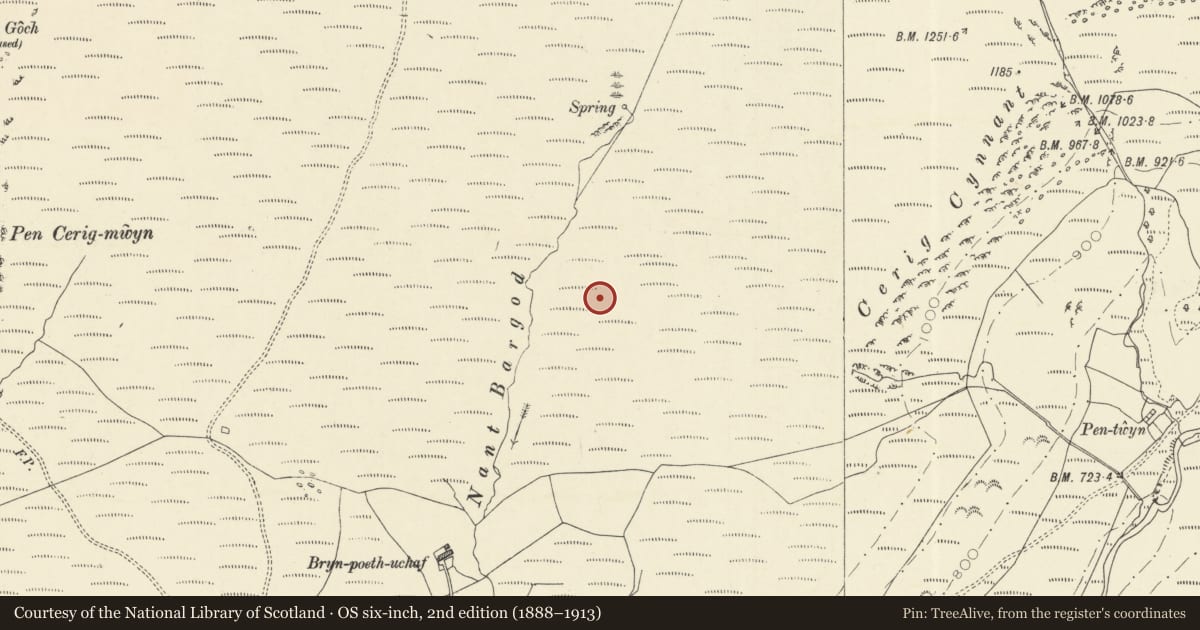 Ordnance Survey six-inch map, 2nd edition (1888–1913) covering the location of Ring Cairn, Llanfair-ar-y-Bryn, Carmarthenshire, with a pin at the register's coordinates