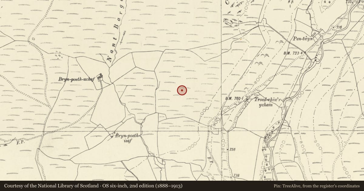 Ordnance Survey six-inch map, 2nd edition (1888–1913) covering the location of Ring Cairn, Llanfair-ar-y-Bryn, Carmarthenshire, with a pin at the register's coordinates