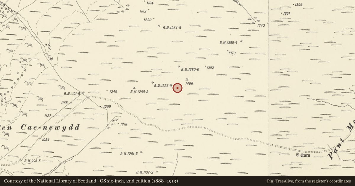Ordnance Survey six-inch map, 2nd edition (1888–1913) covering the location of Ring Cairn, Myddfai, Carmarthenshire, with a pin at the register's coordinates