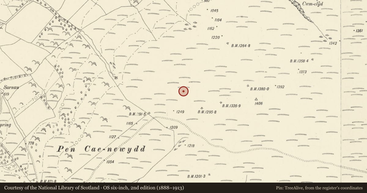 Ordnance Survey six-inch map, 2nd edition (1888–1913) covering the location of Pen Caenewydd ring cairn, Myddfai, Carmarthenshire, with a pin at the register's coordinates