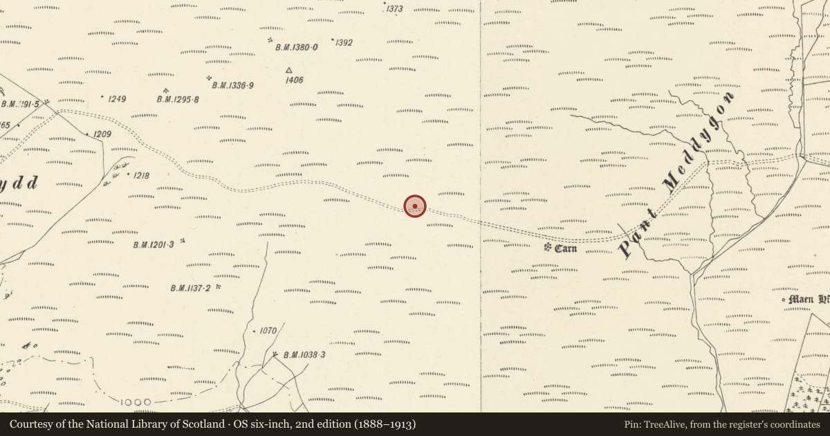Ordnance Survey six-inch map, 2nd edition (1888–1913) covering the location of Mynydd Myddfai round cairn, Carmarthenshire, with a pin at the register's coordinates