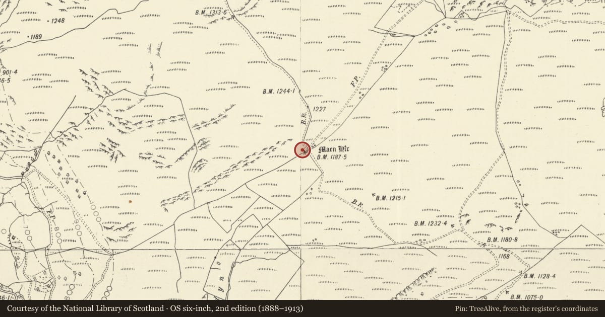 Ordnance Survey six-inch map, 2nd edition (1888–1913) covering the location of Troedrhiwhir standing stone, Cilycwm, Carmarthenshire, with a pin at the register's coordinates