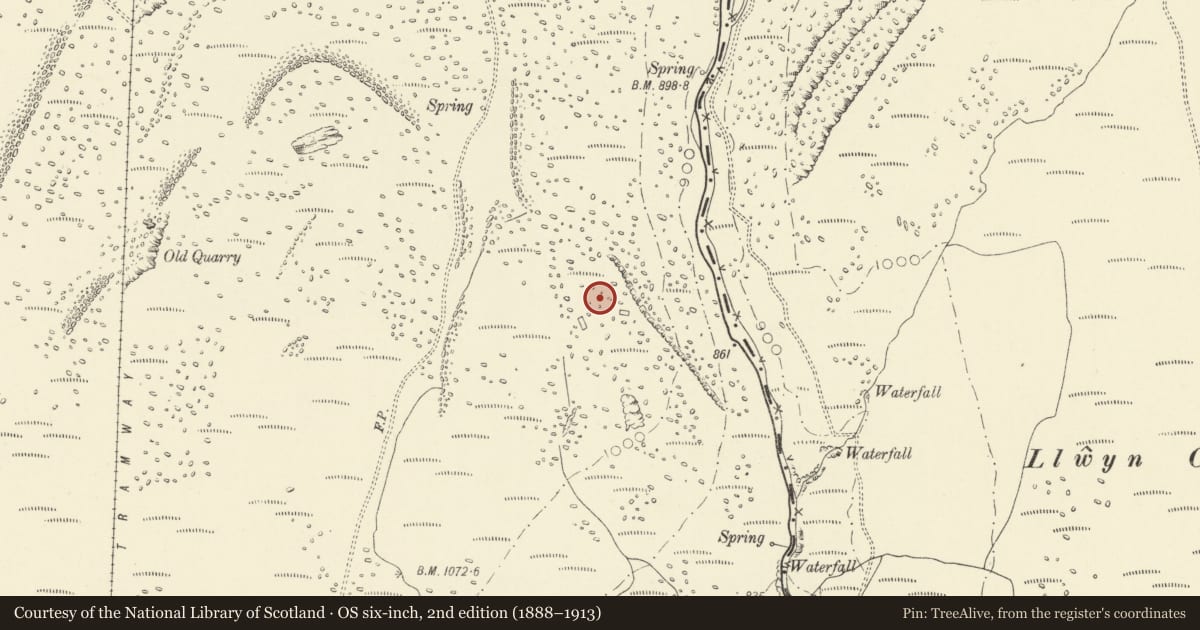 Ordnance Survey six-inch map, 2nd edition (1888–1913) covering the location of Cwm Twrch settlement, Quarter Bach, Carmarthenshire, with a pin at the register's coordinates