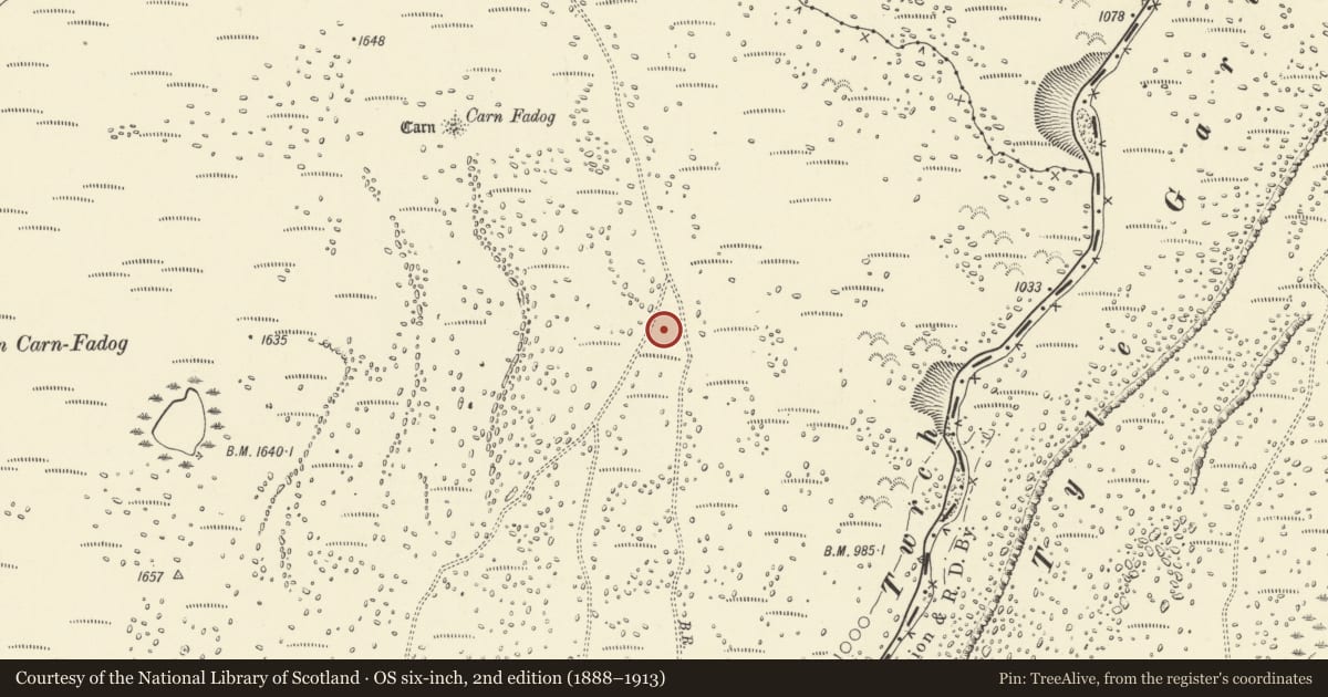 Ordnance Survey six-inch map, 2nd edition (1888–1913) covering the location of Cwm Twrch settlement and limekiln, Quarter Bach, Carmarthenshire, with a pin at the register's coordinates