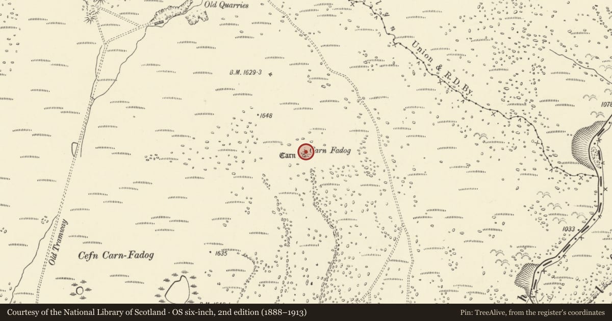 Ordnance Survey six-inch map, 2nd edition (1888–1913) covering the location of Carn Fadog round cairn, Quarter Bach, Carmarthenshire, with a pin at the register's coordinates